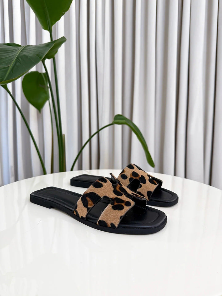 Aris™ | Limited Edition