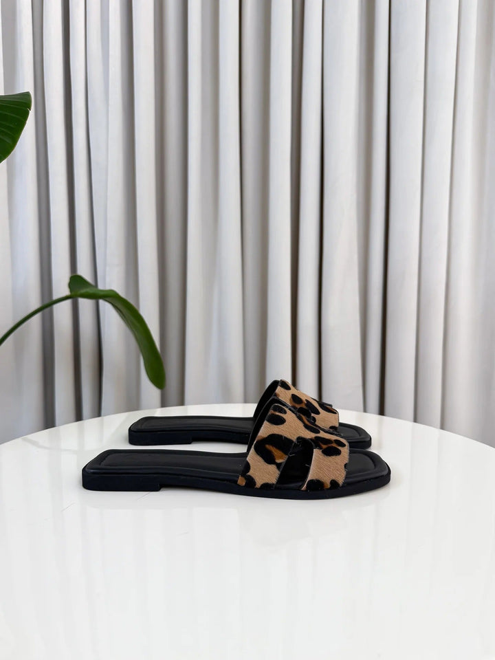Aris™ | Limited Edition